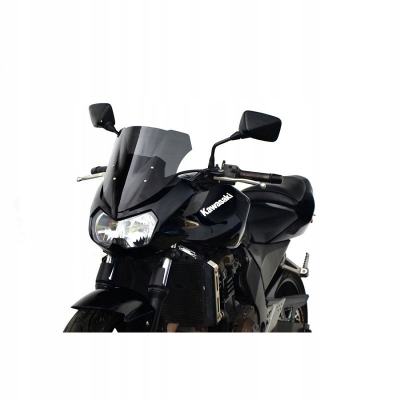 Loster racingové sklo Kawasaki z roku 1000 03-06.