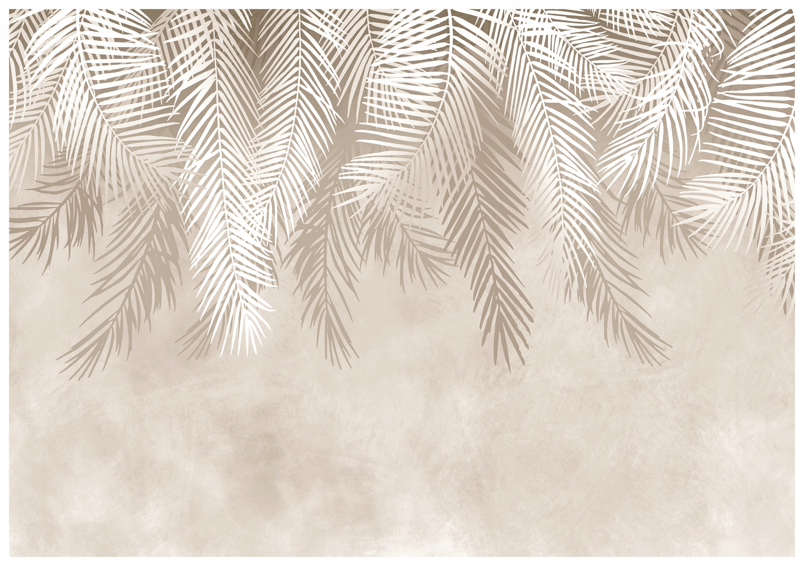 Fototapeta Palmy stíny a béžové neutrální pozadí jemné listy 350x250 lepidlo