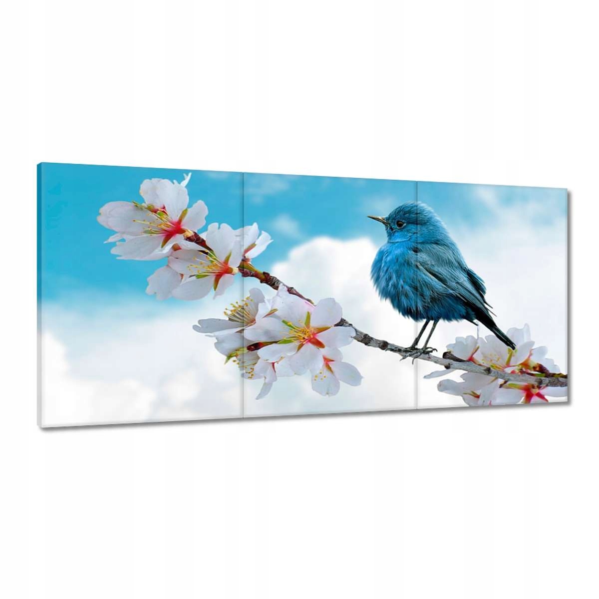 Obrazy 210x100 Ptáček na větvičce Jemné k