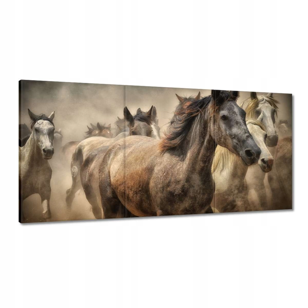 Obrazy 180x90 Divoké kone Kone Galop