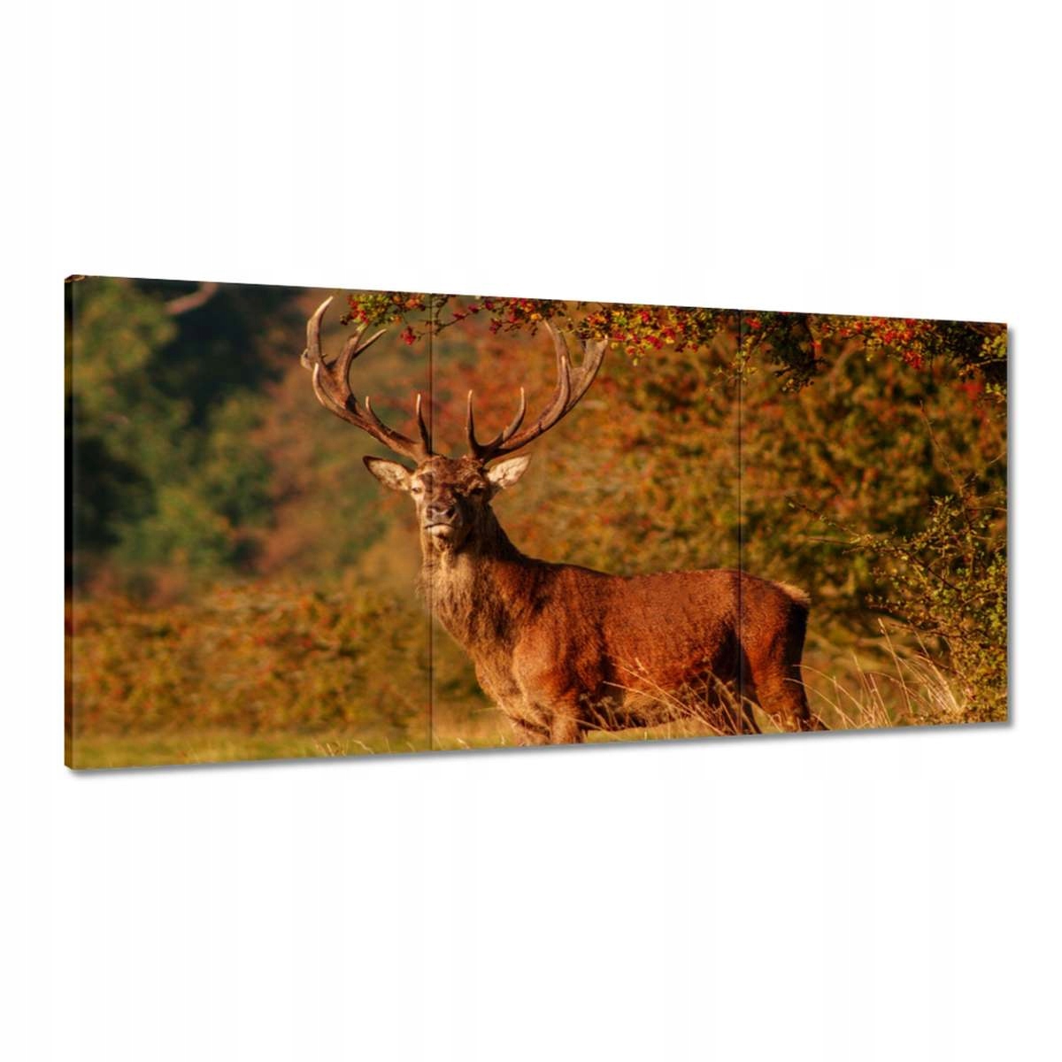 Obrazy 180x90 Jeleň kráľovský
