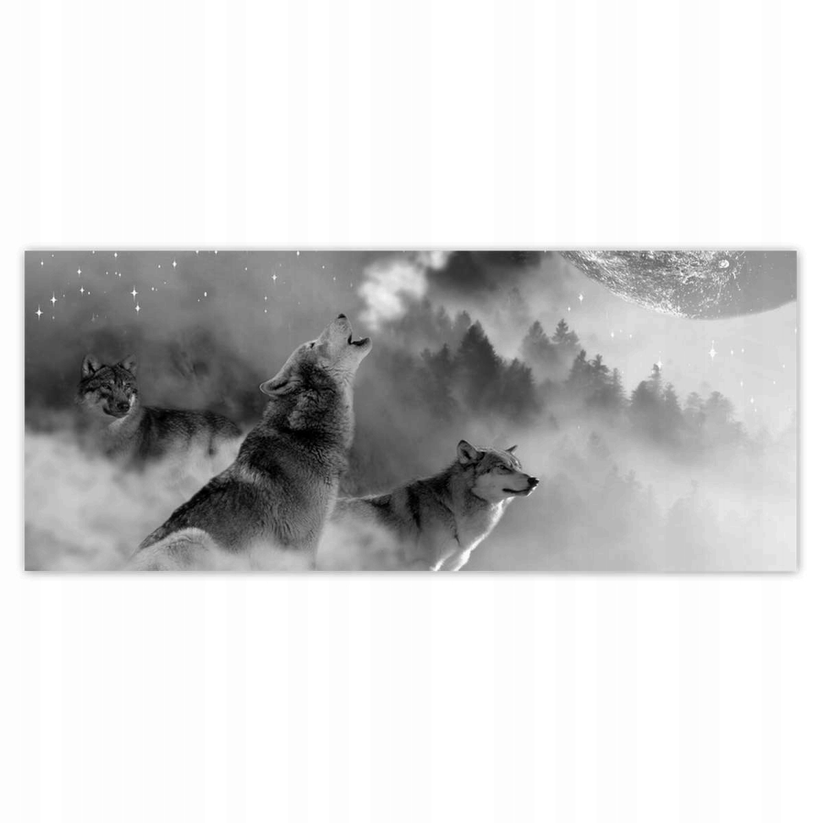 Fototapety 250x104 Vlk vyjící k měsíci