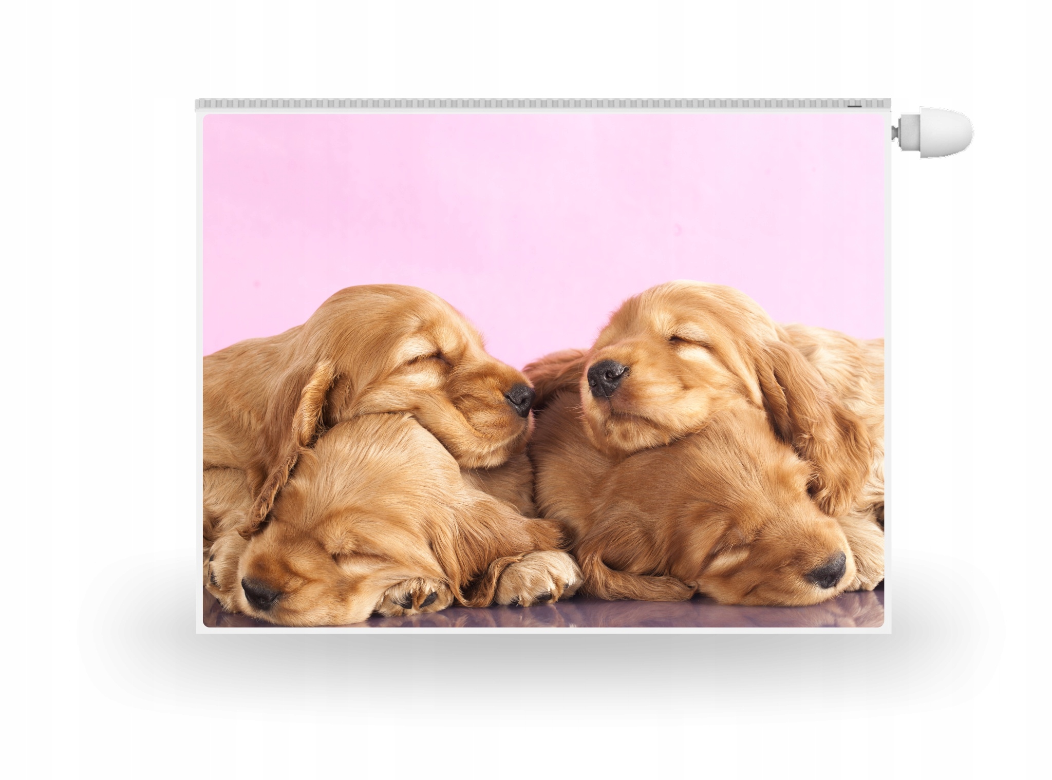 

Mata Magnes Na Kaloryfer Pieski Szczeniaczki