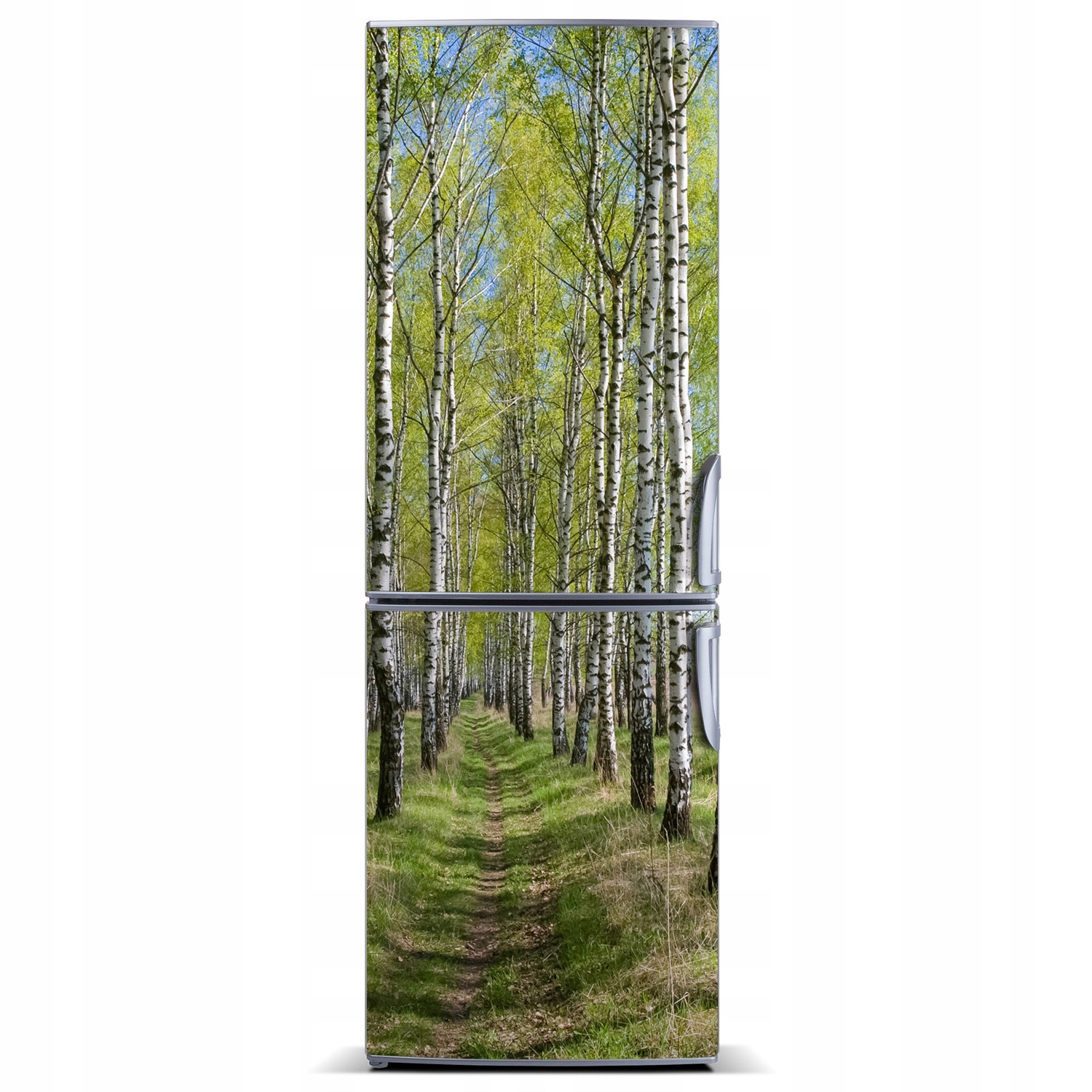 

Magnes na lodówkę magnetyczna Las brzozowy 60x180