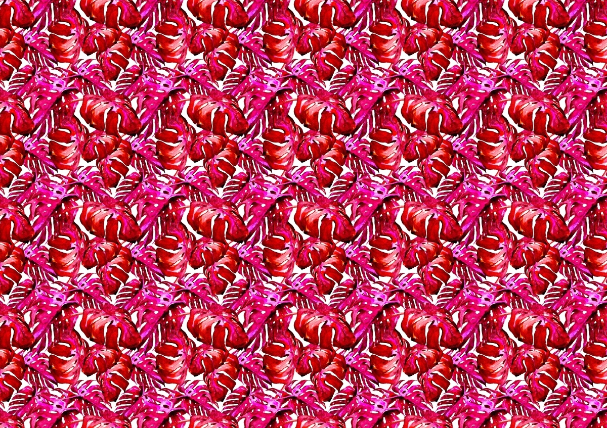 

Tapeta Flizelinowa Tropikalne liście - 208x146