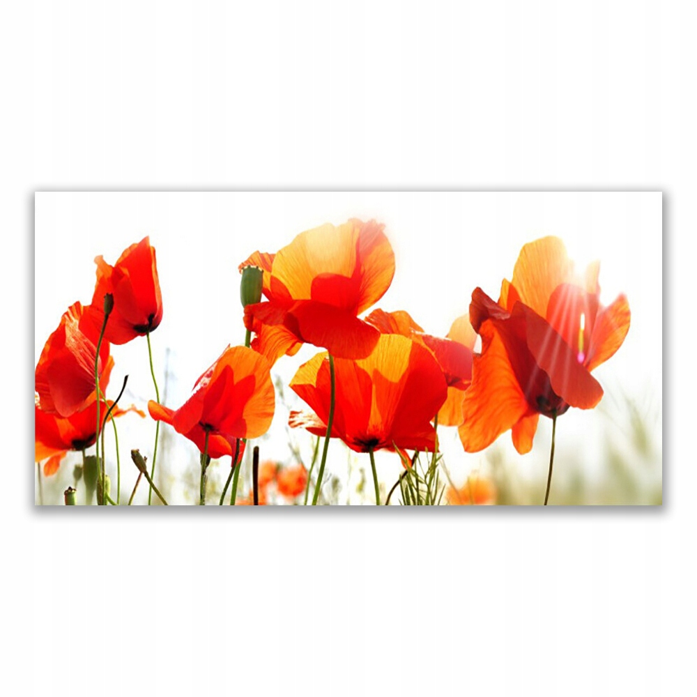 

Obraz akryl na ścianę 140x70 Maki Roślina Natura