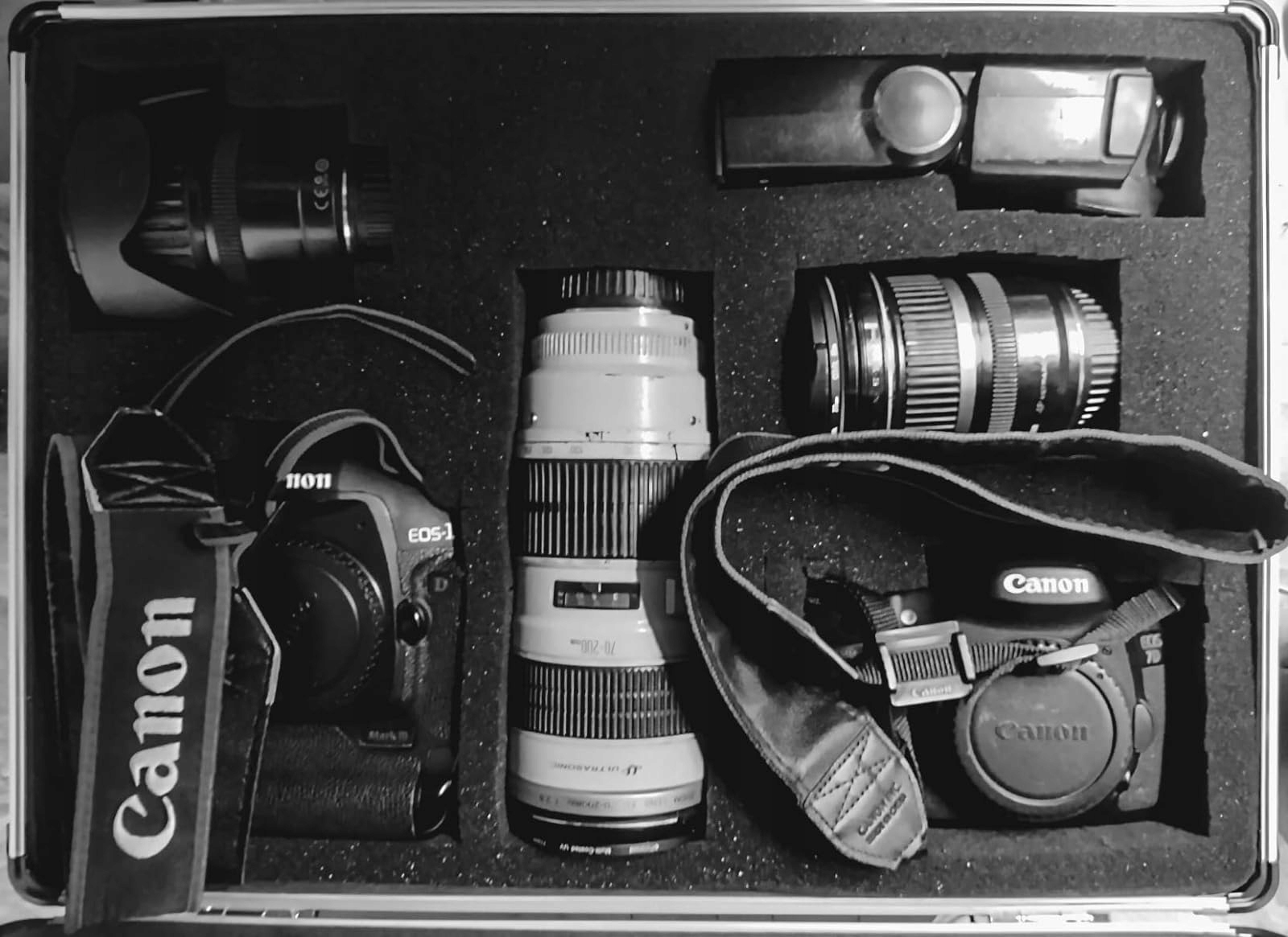 WALIZKA NA SPRZĘT FOTOGRAFICZNY NARZĘDZIA W PODRÓŻ PeakTech 7310 46x33x15cm Rodzaj walizka