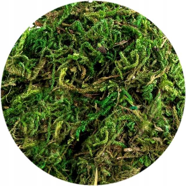 mech naturalny 30g w pudełku | MECH-30 — 4
