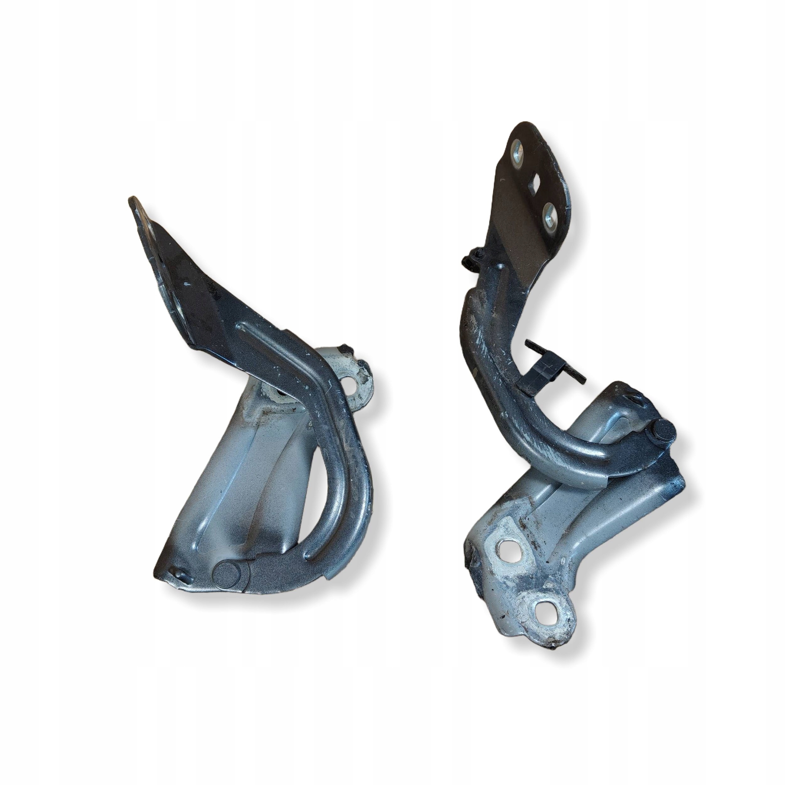 Cerniere cofano Ford Focus BM51A16801AD