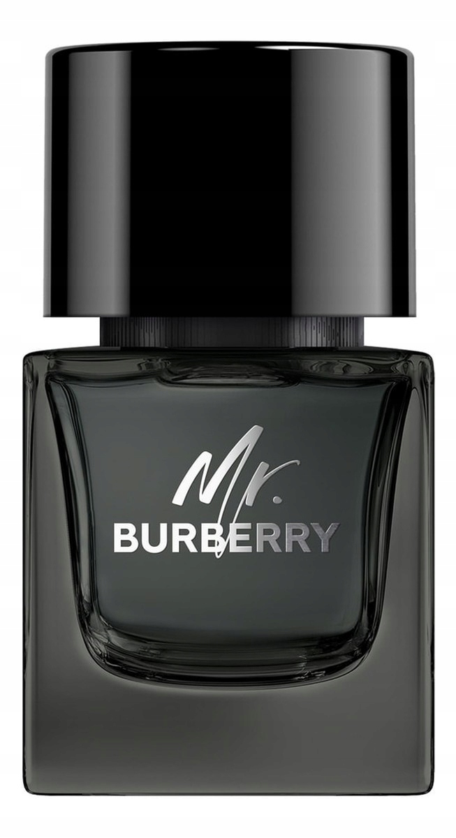 Burberry Mr.Burberry Parfémovaná voda sprej 50 ml