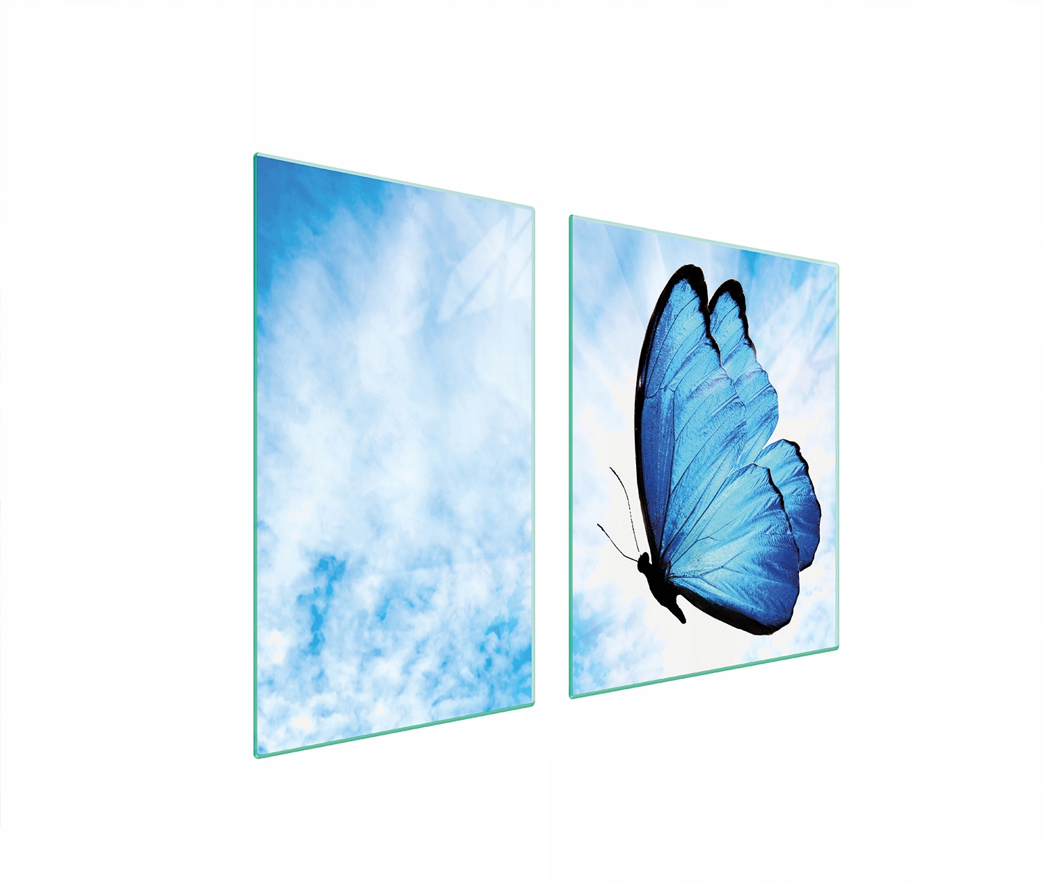 Skleněná Deska A Krájecí Deska 100x52 Motýl Tvrzené Sklo