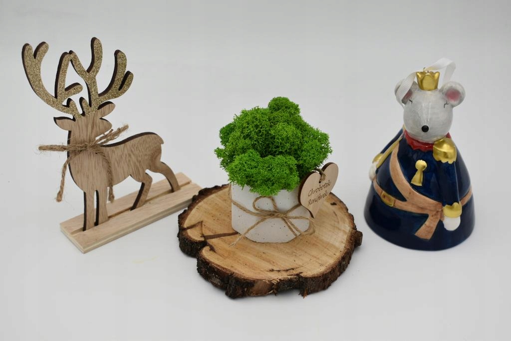 Chrobotkowy las mini w betonowej doniczce Wysokość produktu 9 cm