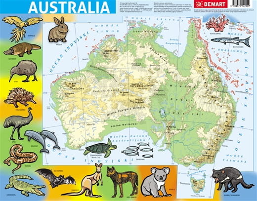

Australia Mapa Fizyczna Puzzle Ramkowe 72 Elementy