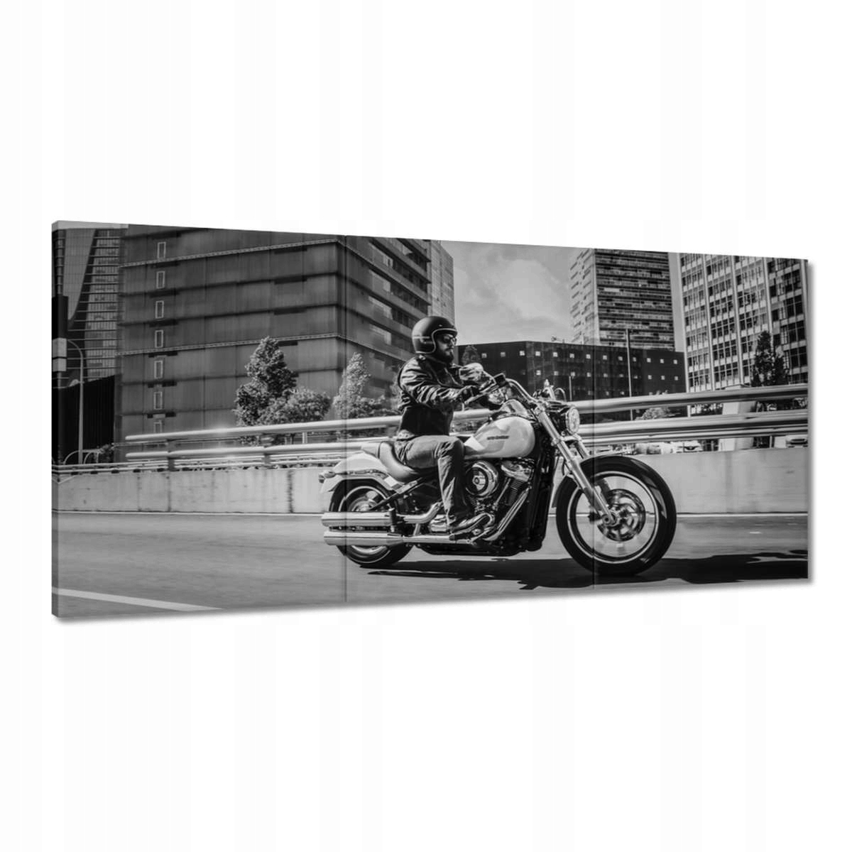 Obrazy 180x90 Harley Davidson Motocykel