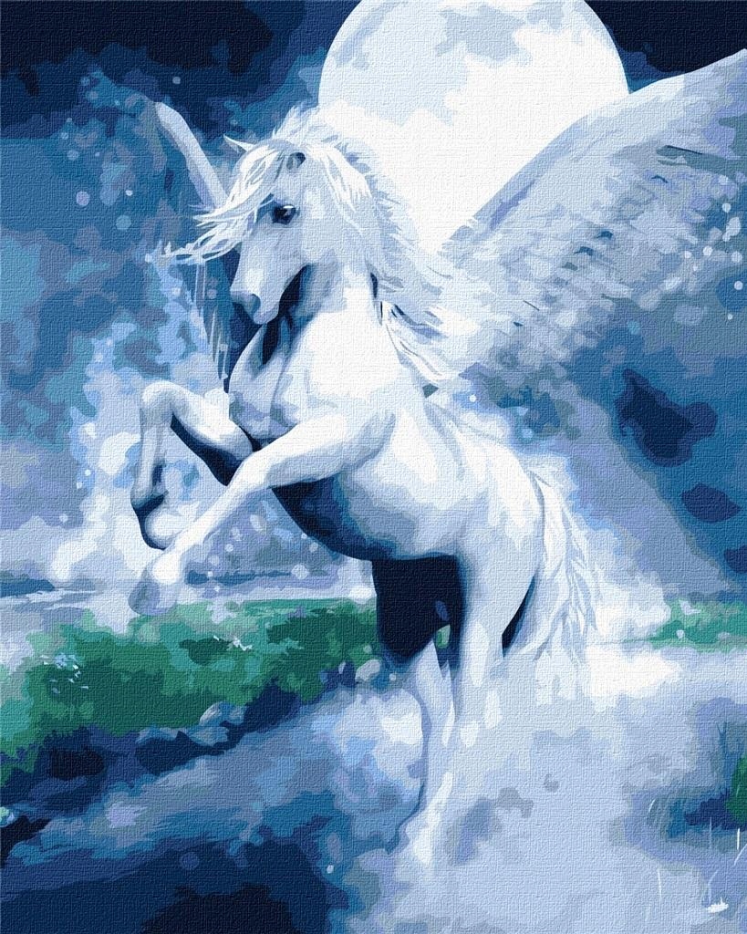 Obrázek Ideyka malování podle čísel 4320 40x50