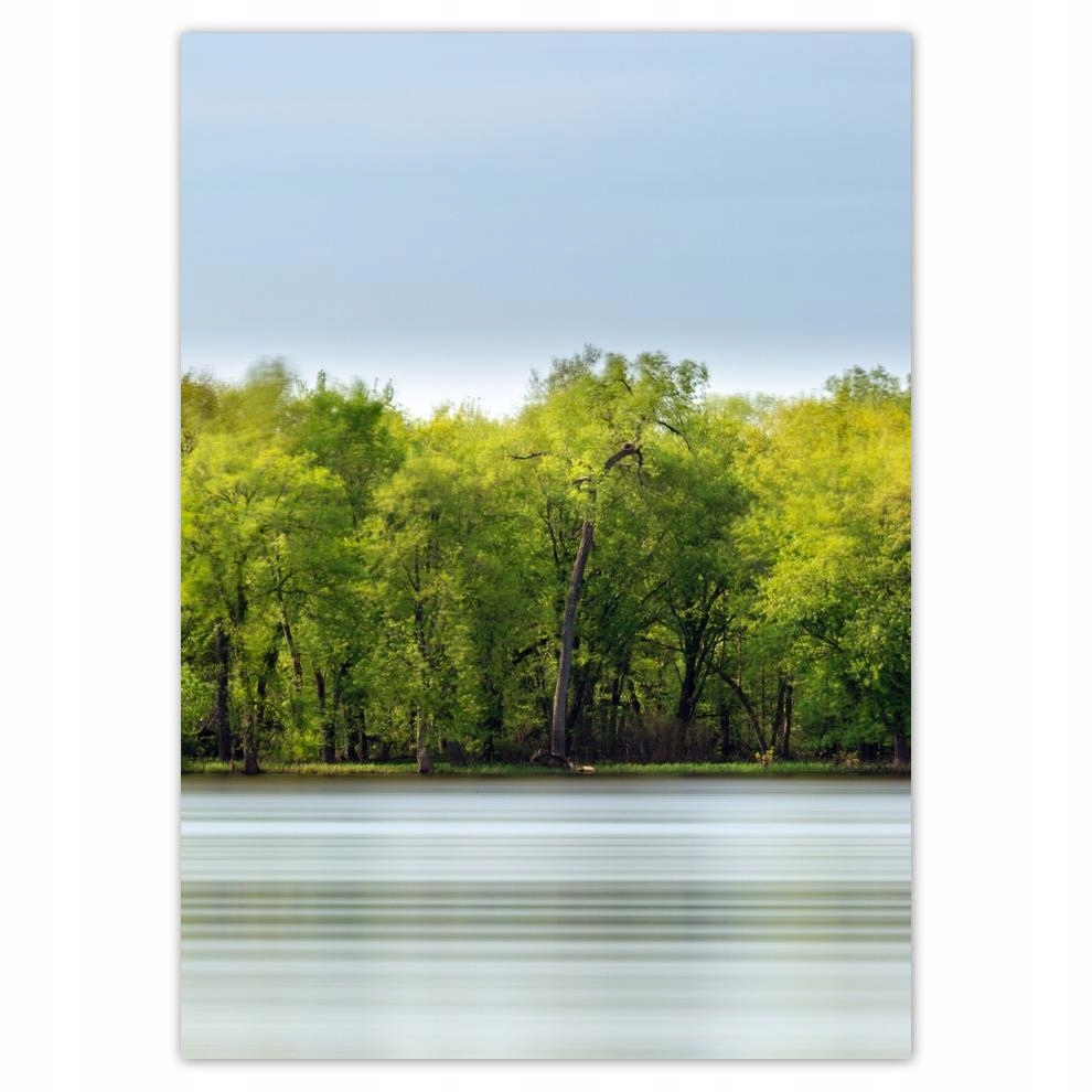 

Naklejki 50x70 Las Jezioro Niebo