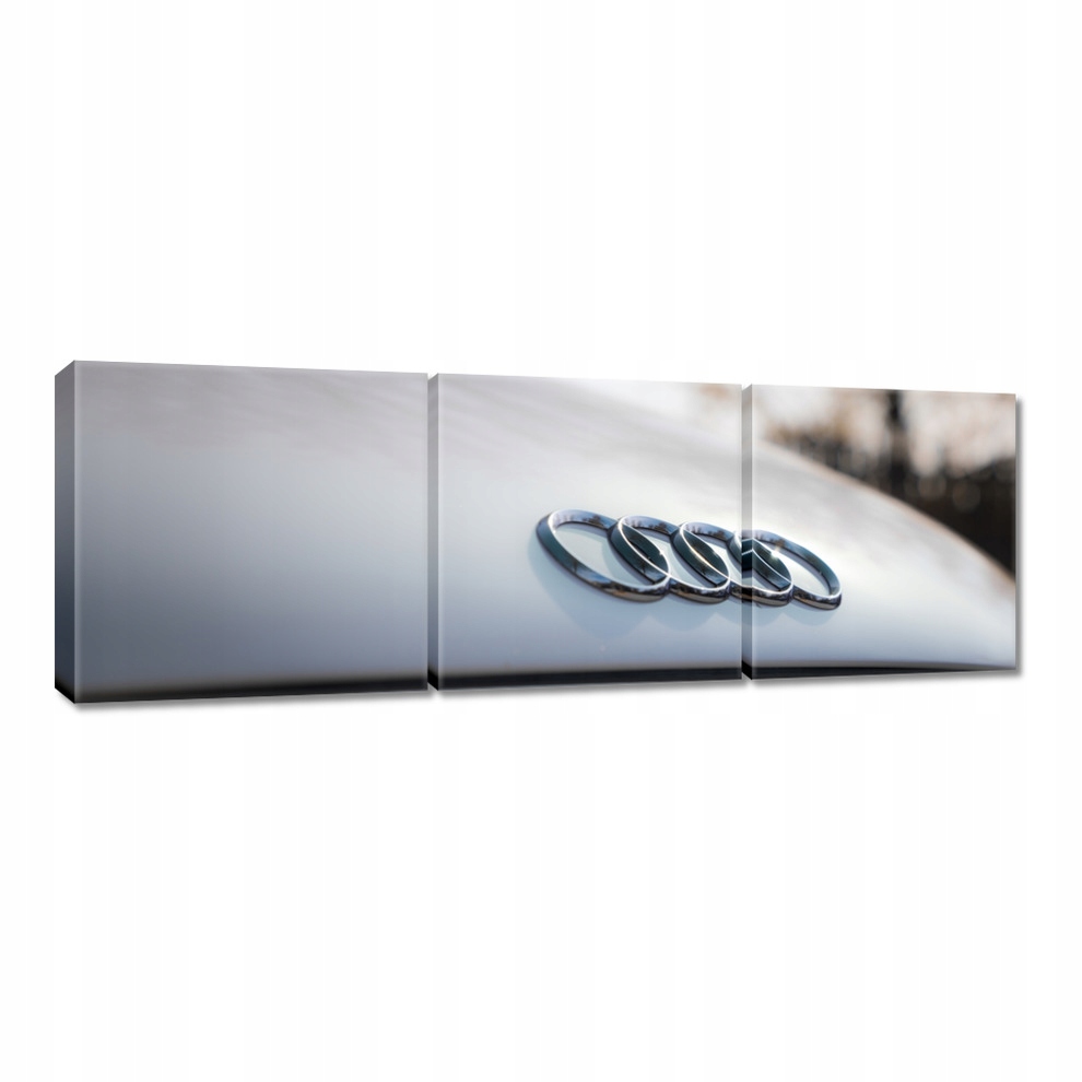 

Obrazy 60x20 Audi Piękne samochody