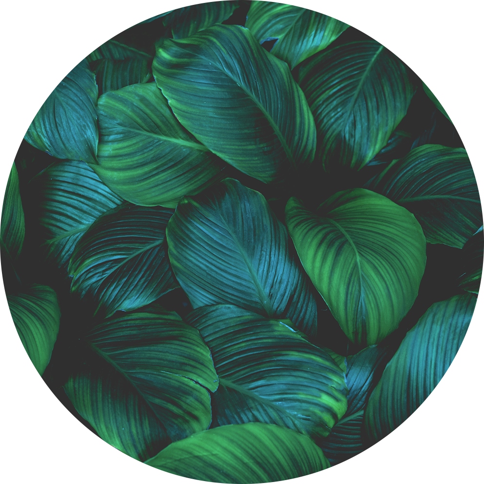 PODKŁADKA PODŁOGOWA POD FOTEL okrągła 100cm LIŚCIE