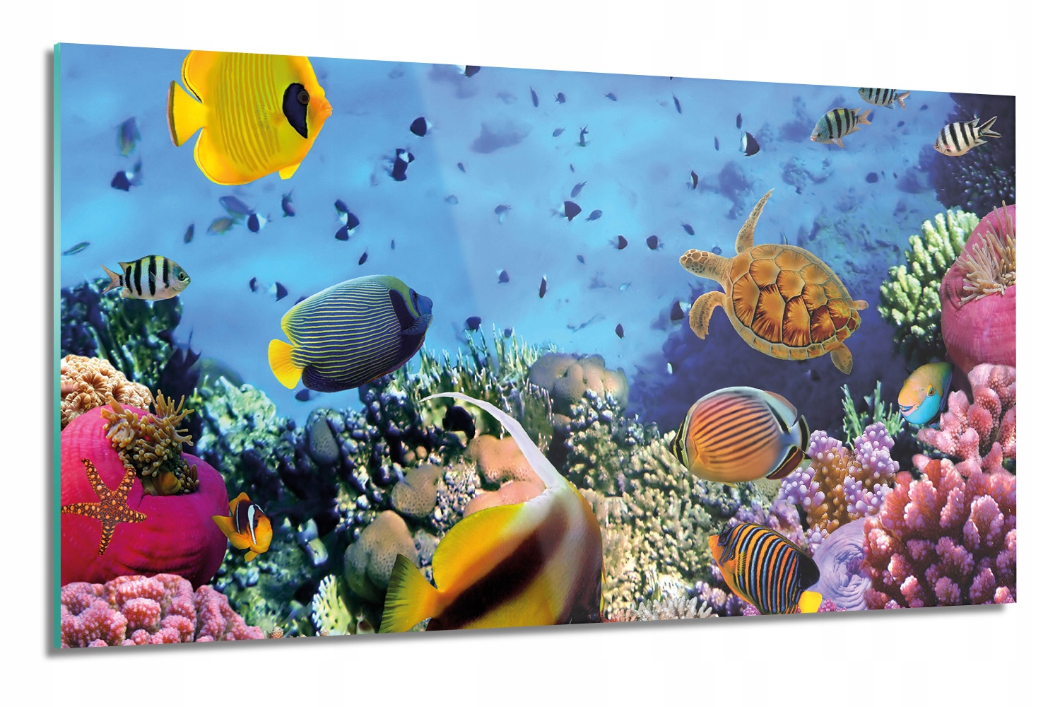 

Fauna rafy koralowej panel do kuchni 140x70 z foto