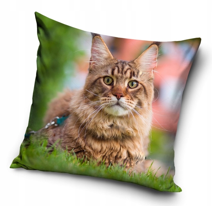 

poszewka 40x40 Kot kotek Cat młodzieżowa