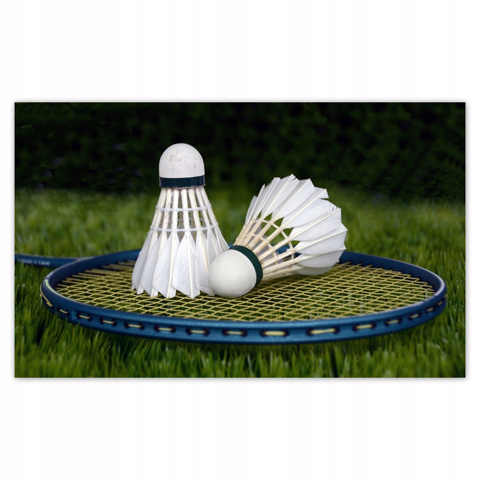 

Fototapety flizelina 416x254 Lotki Badminton