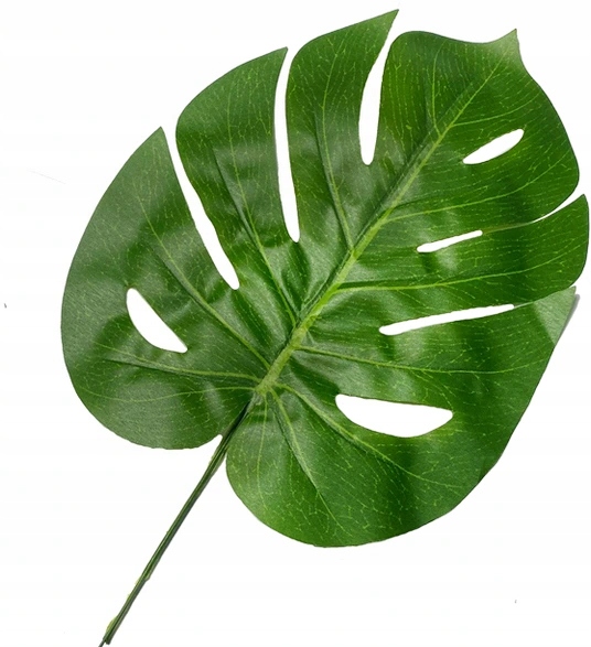 

Liść Sztuczny Monstera Gałązka Dekoracyjna