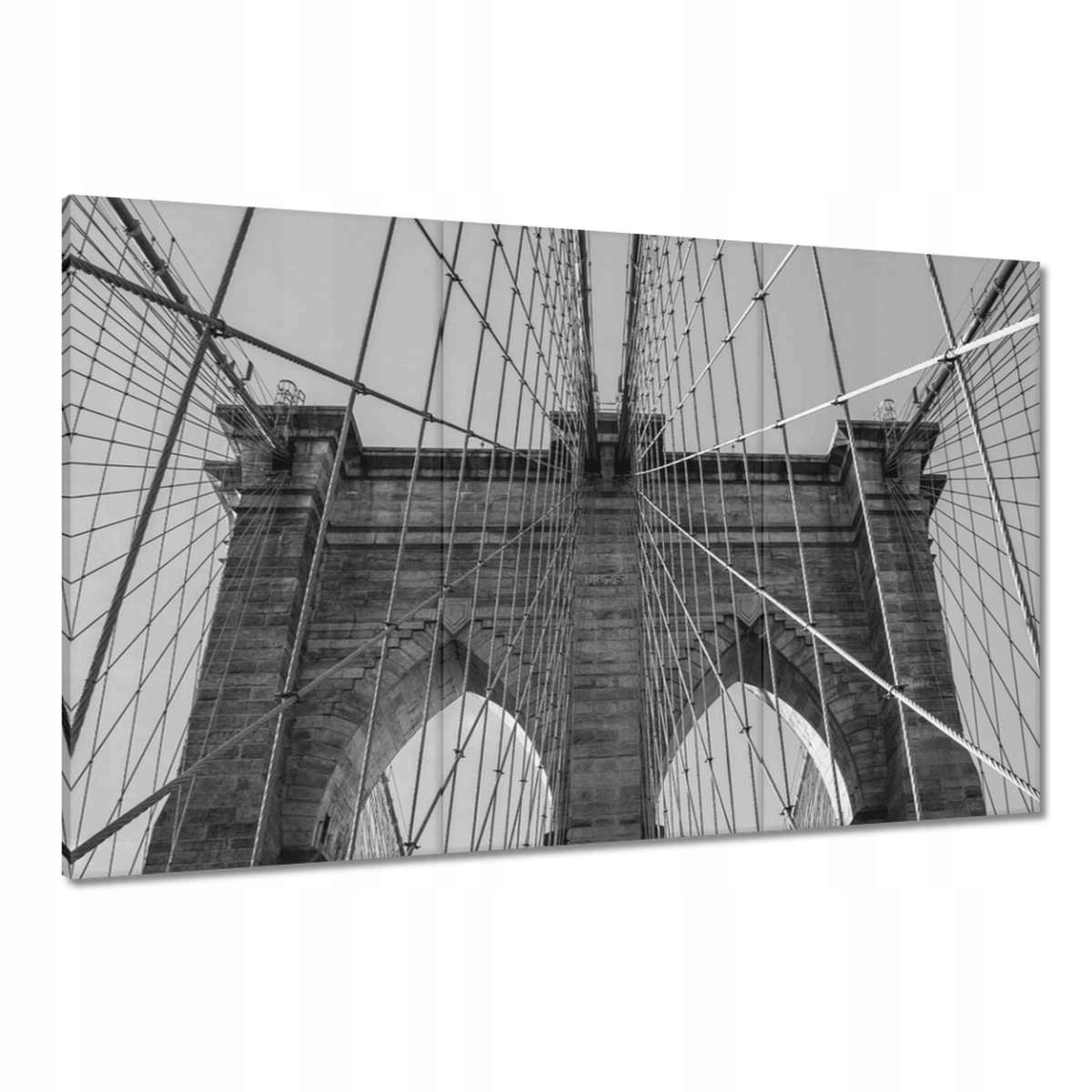 Obrazy 120x80 Lanový most Usa Státy