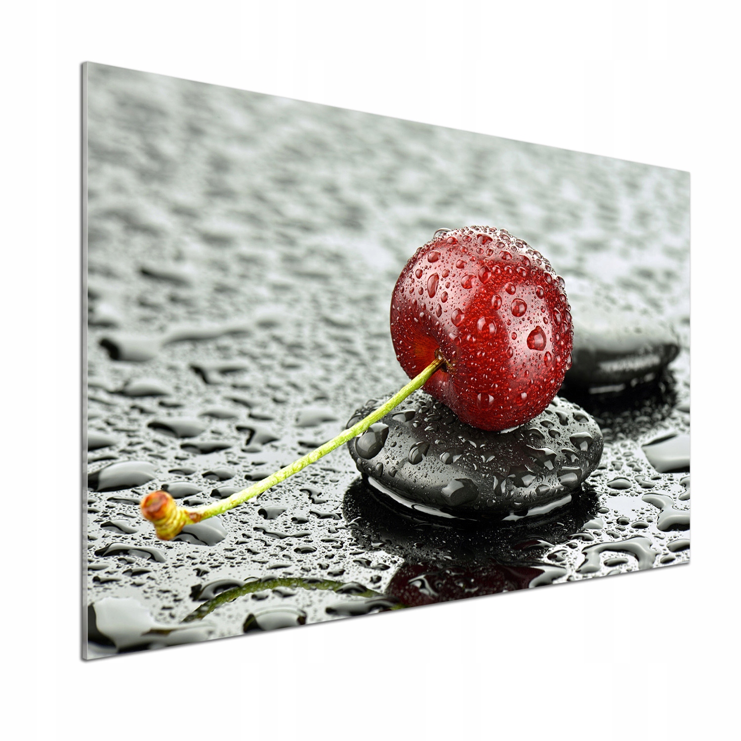 Panel lacobel Čerešňa v daždi 100 x 70 cm Lepidlo
