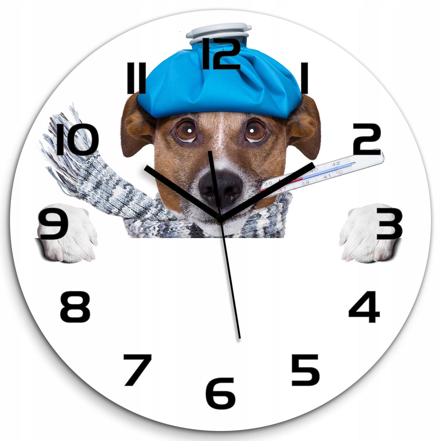 

Duży okrągły zegar ze szkła Chory pies fi 60 cm