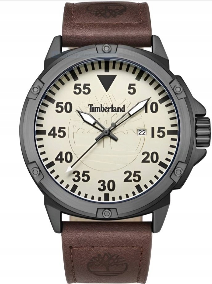 Pánské Hodinky Timberland TDWGB9002802 Box