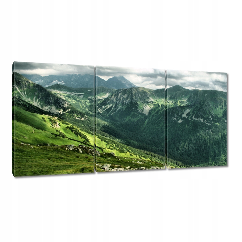 

Obrazy 120x60 Tatry Polskie góry Widok