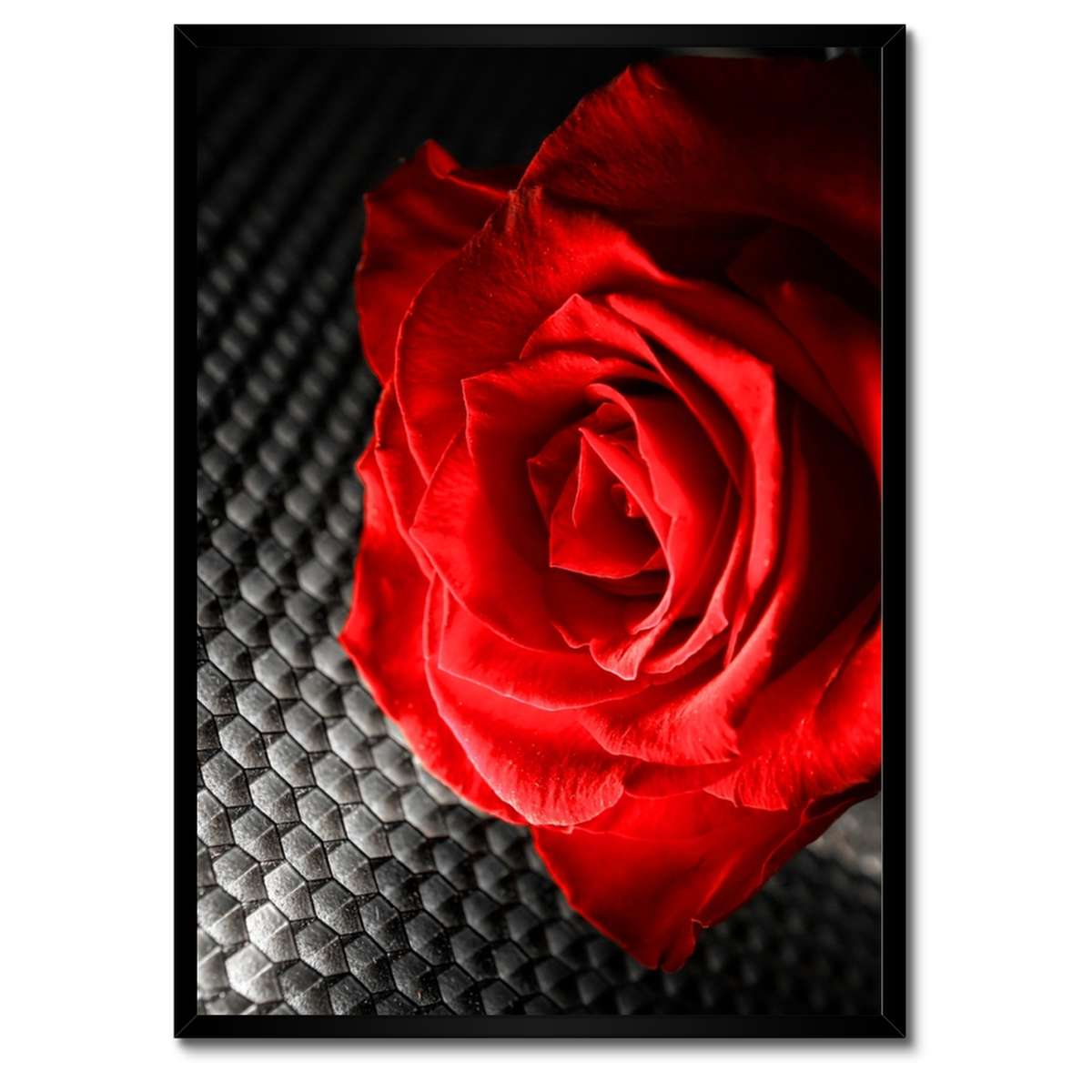 Plakáty v rámu 50x70 Červená mezi šedou