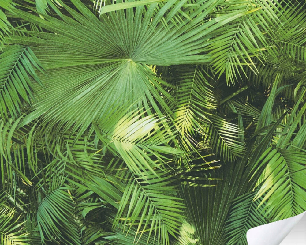 As Creation The Wall Cover 38054-1