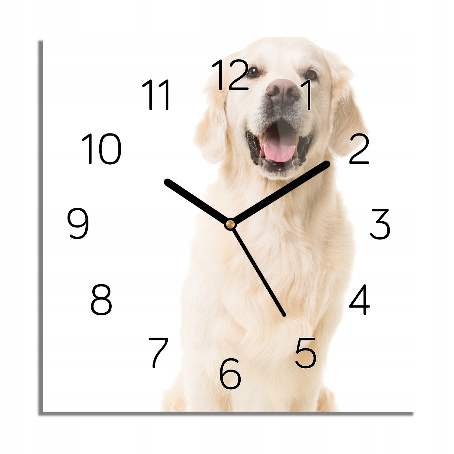 

Golden retriever zegar na szkle z foto 30x30 cichy