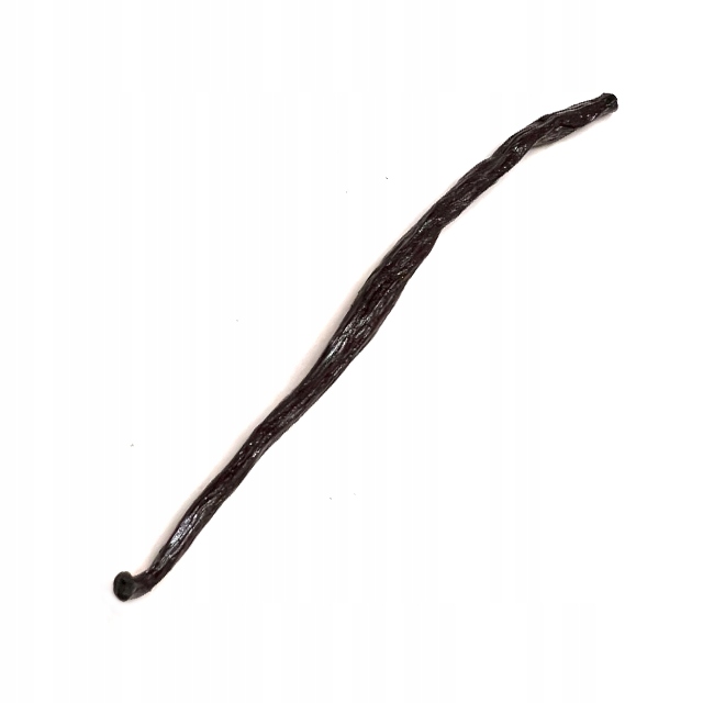 Wanilia laska (12-14 cm) 50 sztuk