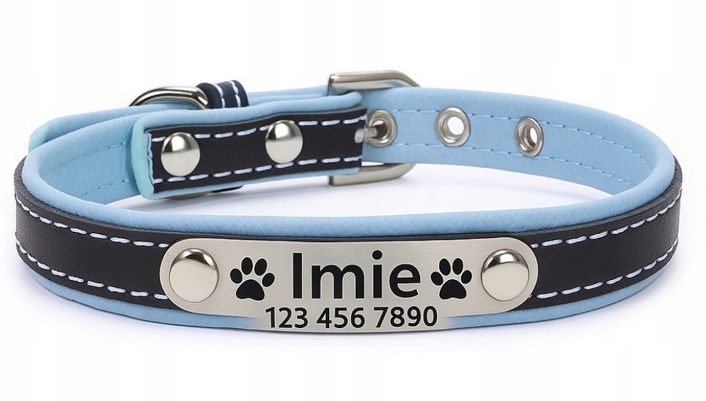Levně Obojek pro psa kočku Personalizované jméno telefonní číslo L Modrý