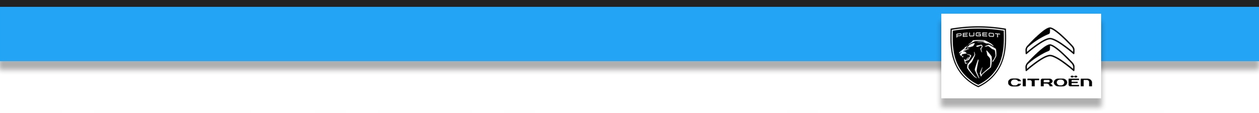 ORING AUTOMATYCZNEJ SKRZYNI BIEGÓW AL4 DP0 221916 Numer katalogowy części 221916