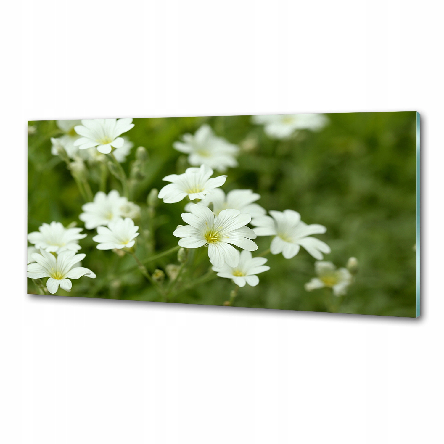 Panel do kuchyne Jarné kvety 125 x 50 cm Lepidlo