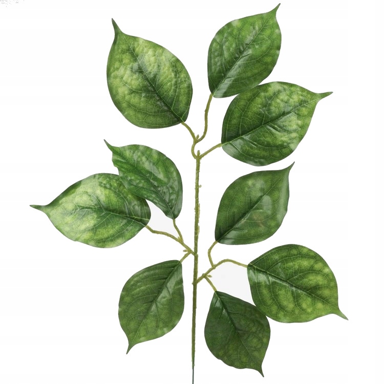 LIPA LIŚĆ GAŁĄZKA SZTUCZNE LIŚCIE DO BUKIETÓW WIĄZANEK Zielony