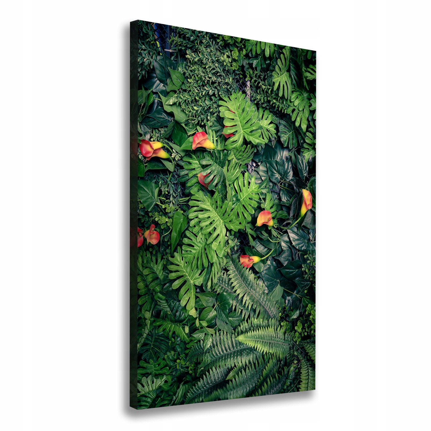 

Foto obraz na płótnie Tropikalne rośliny 70x140 cm