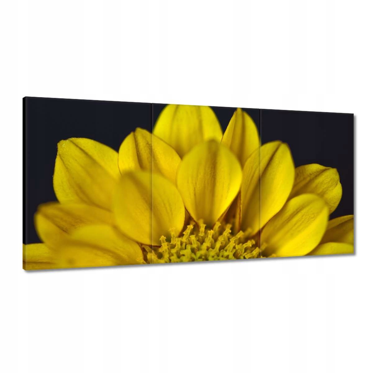 Obrazy 180x90 Deň žien Darčeková láska