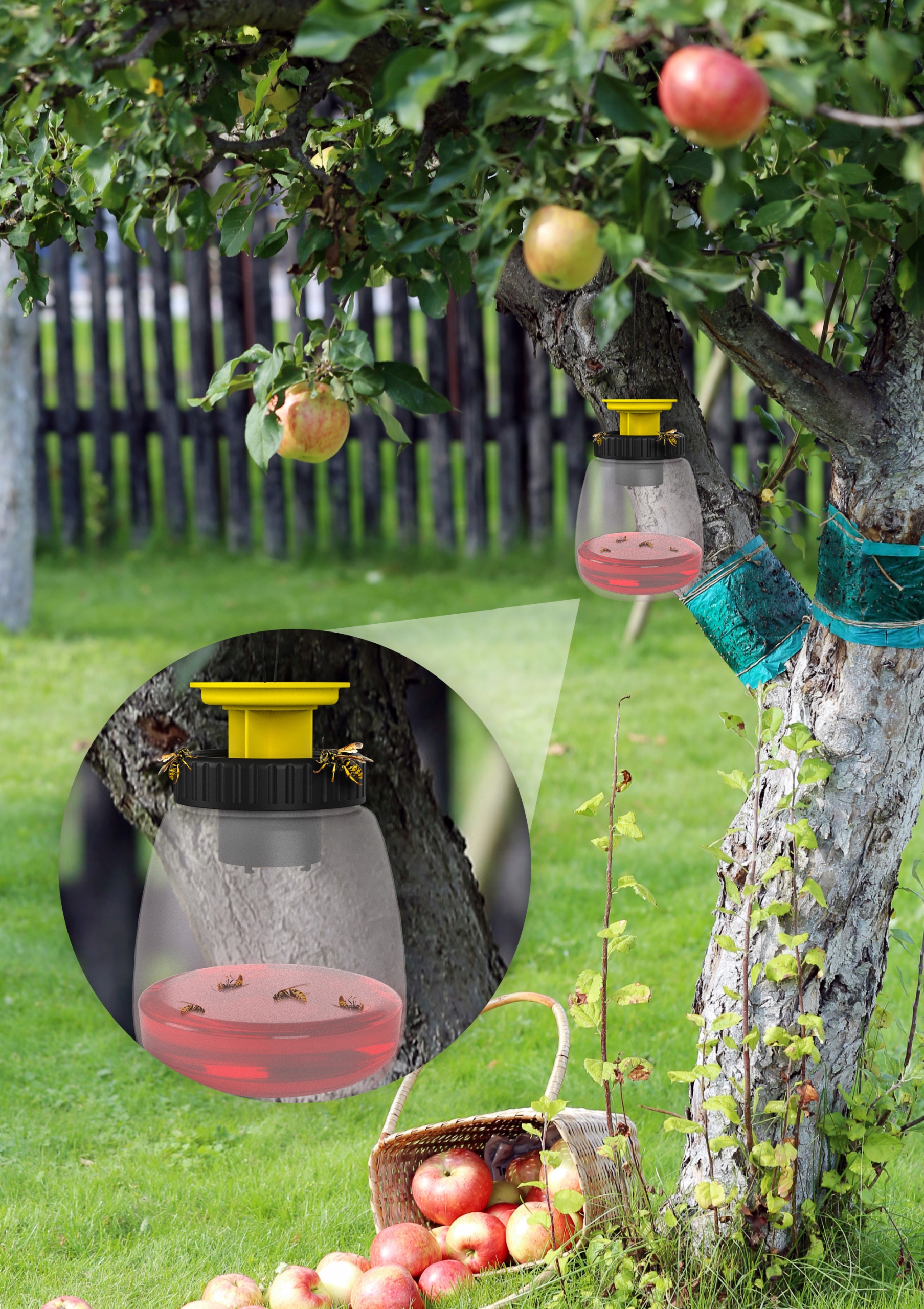 PUŁAPKA NA OSY OWADY DO WYŁAPYWANIA OS PRZECIW OSOM NO PEST + WABIK 200ML Zastosowanie przeciwko osom