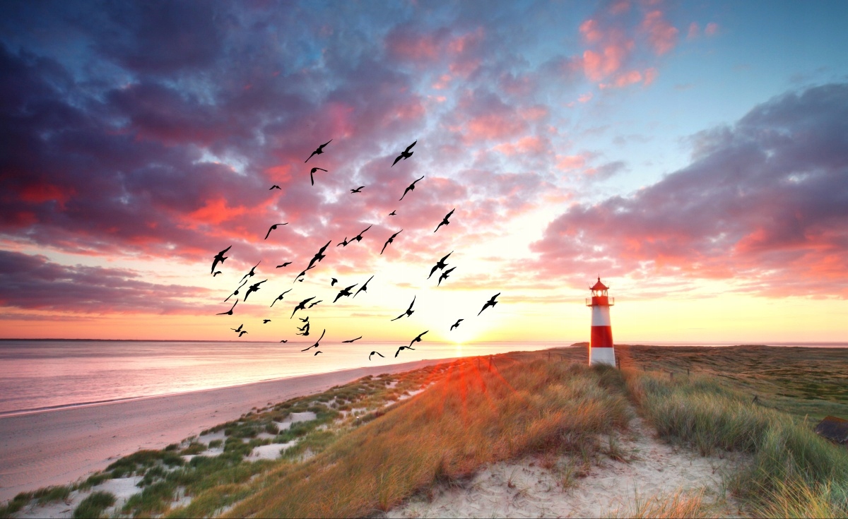 

Tapeta Flizelinowa Latarnia morska Sylt 416x254