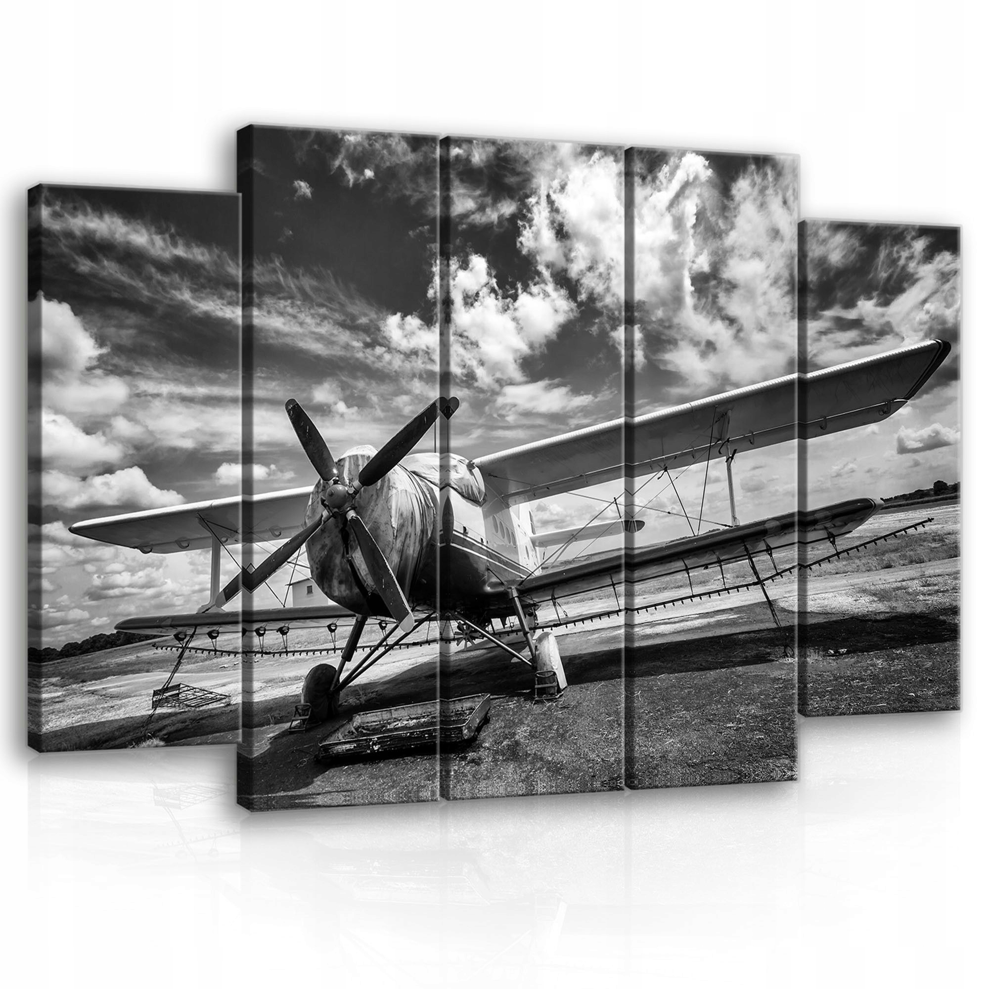 Obraz 150x100 Dvojplošník lietadlo letectvo vintage čiernobiela obloha