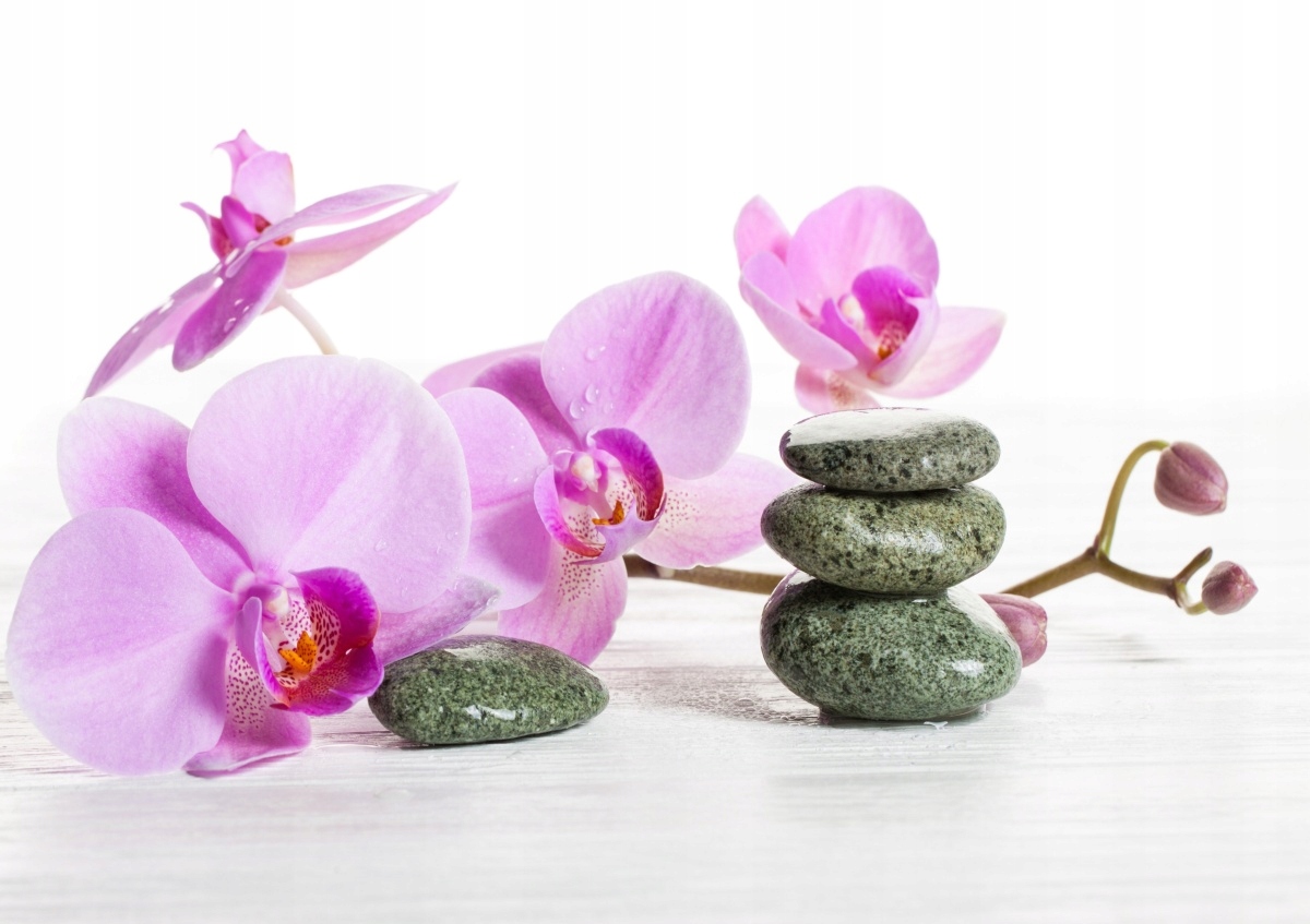 

Tapeta flizelinowa Orchidea Spa - 208x146