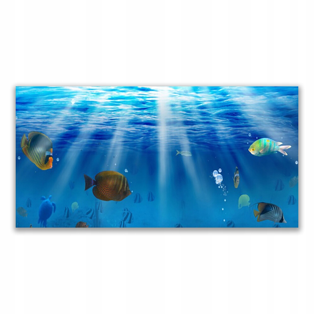 

Fotoobraz z nadrukiem na ścianę 120x60 Ryba Natura