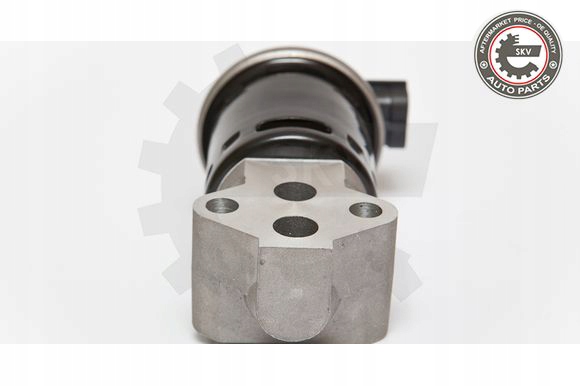 ZAWOR EGR do DAEWOO MATIZ 0 8 EAN 5901947319925