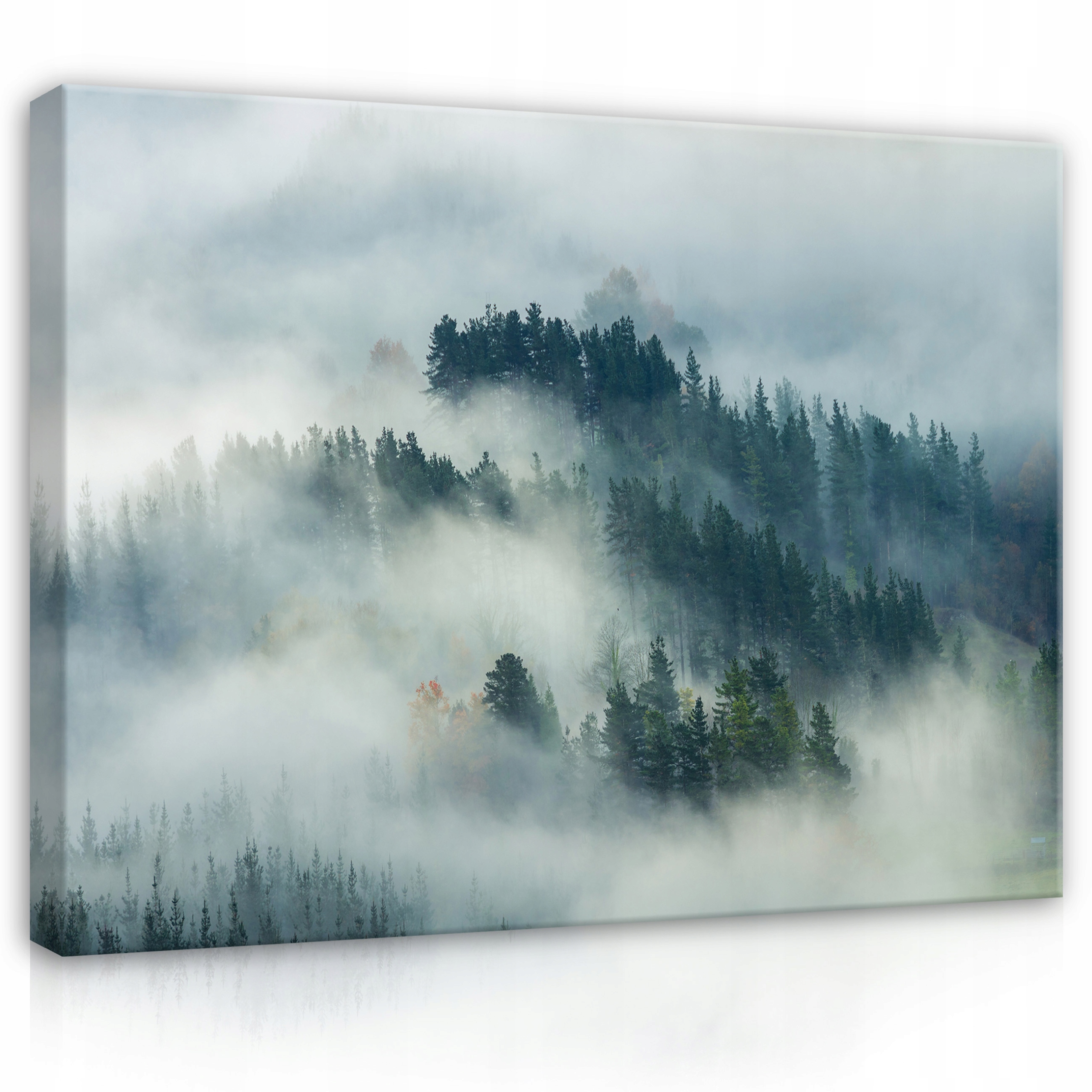 Obraz Les v mlze Příroda Krajina Stromy 120x80