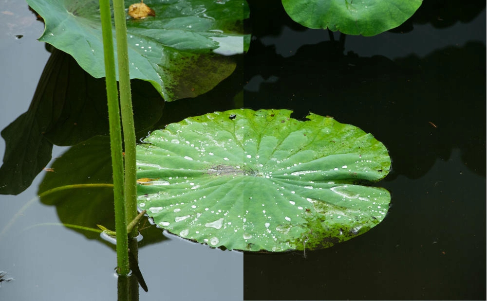 FILTR HOYA 67MM POLARYZACYJNY CIR-PL UX II SMUKŁY Model PL-CIR UX II