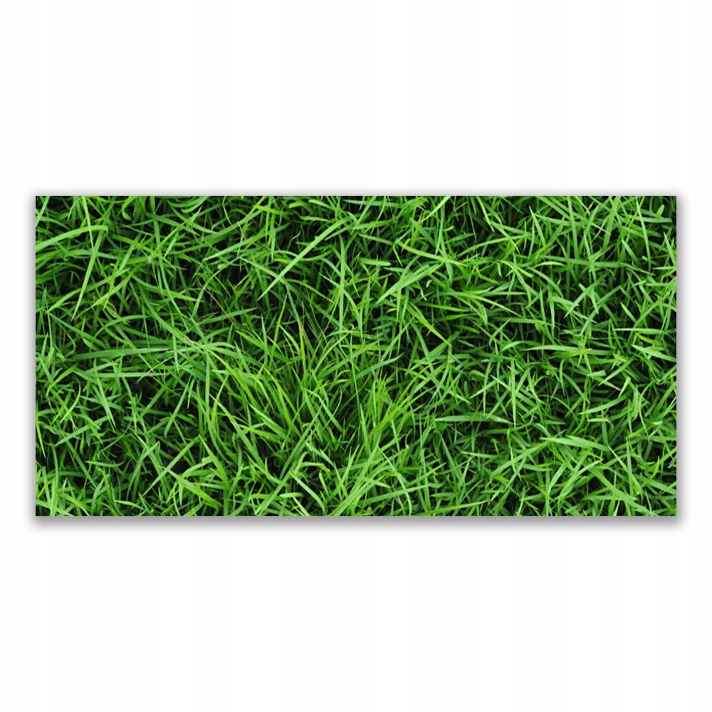 

Fotoobraz akryl nowoczesny 120x60 cm Trawa Trawnik